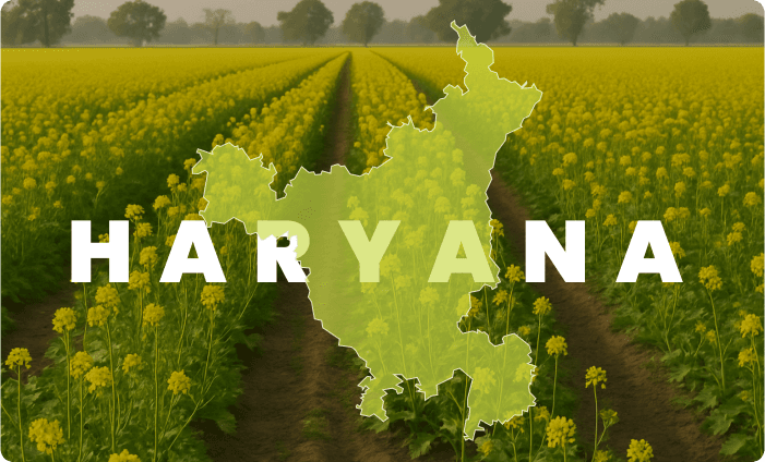 Haryana Success Story