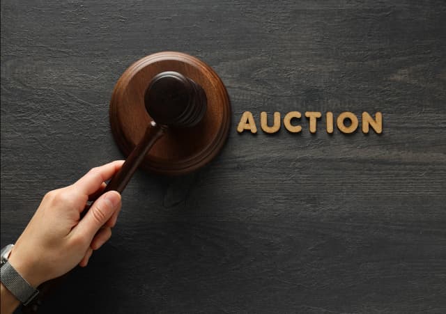 About AuctionBazzar